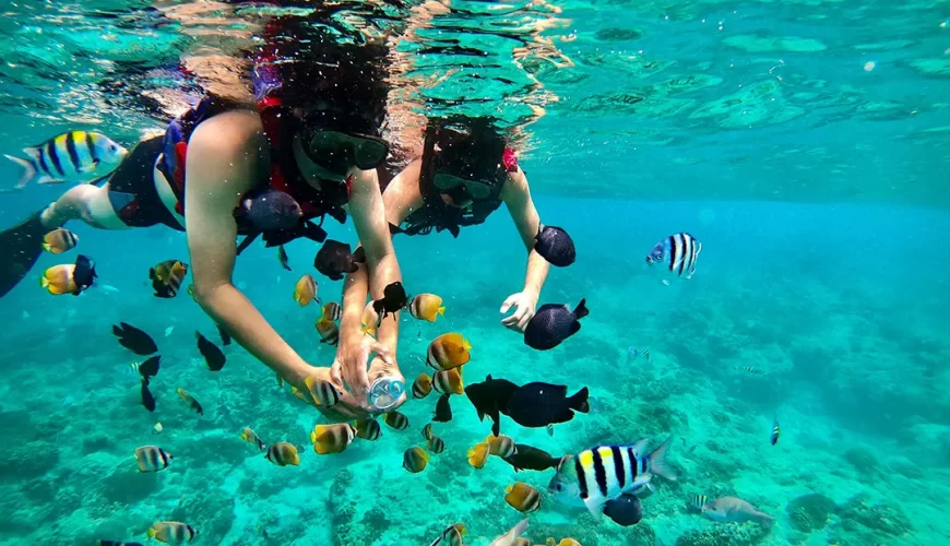 Bali Travel Guide Explore Padang Bay The Hidden Gem of Bali